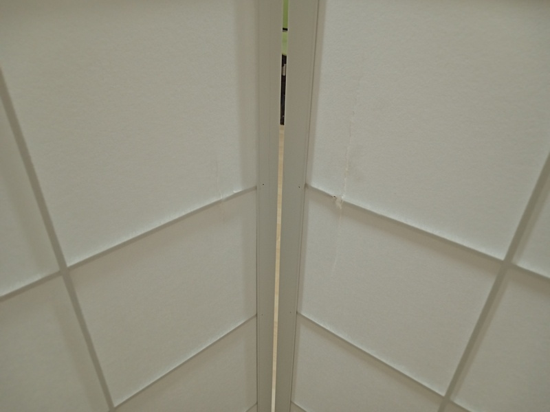6-bazar-885-paravan-scron-4d-white-300